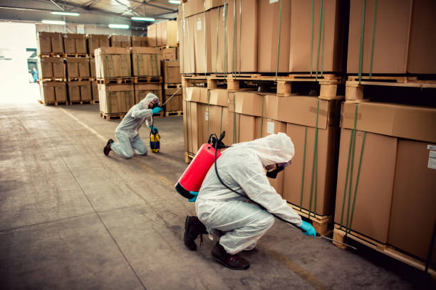 Best Pest Removal Services  in Banks, OR