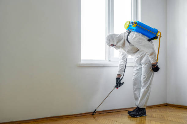 Best Termite Control Services  in Banks, OR